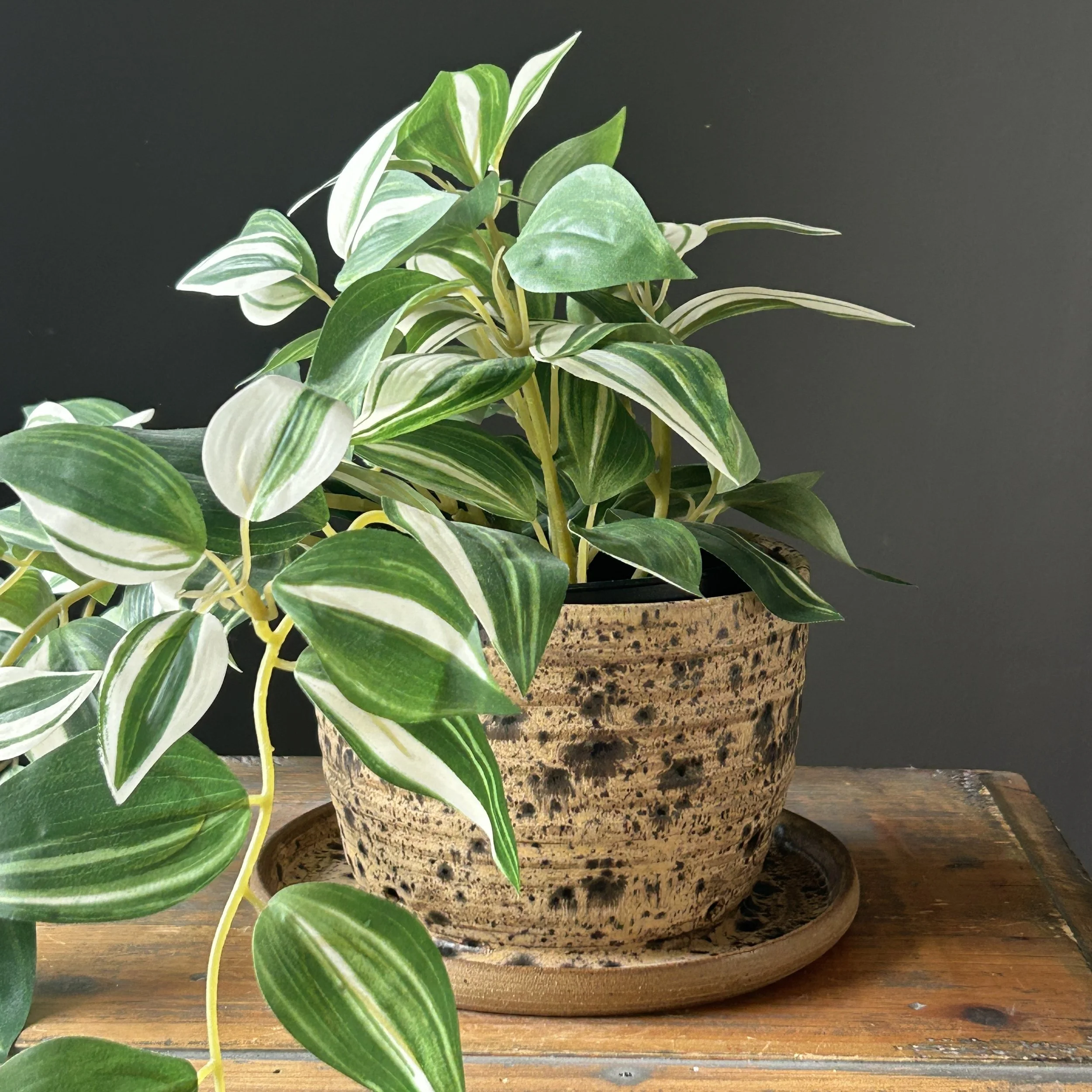 Planter Pot with Built-in Dish, Tan Quail Egg
