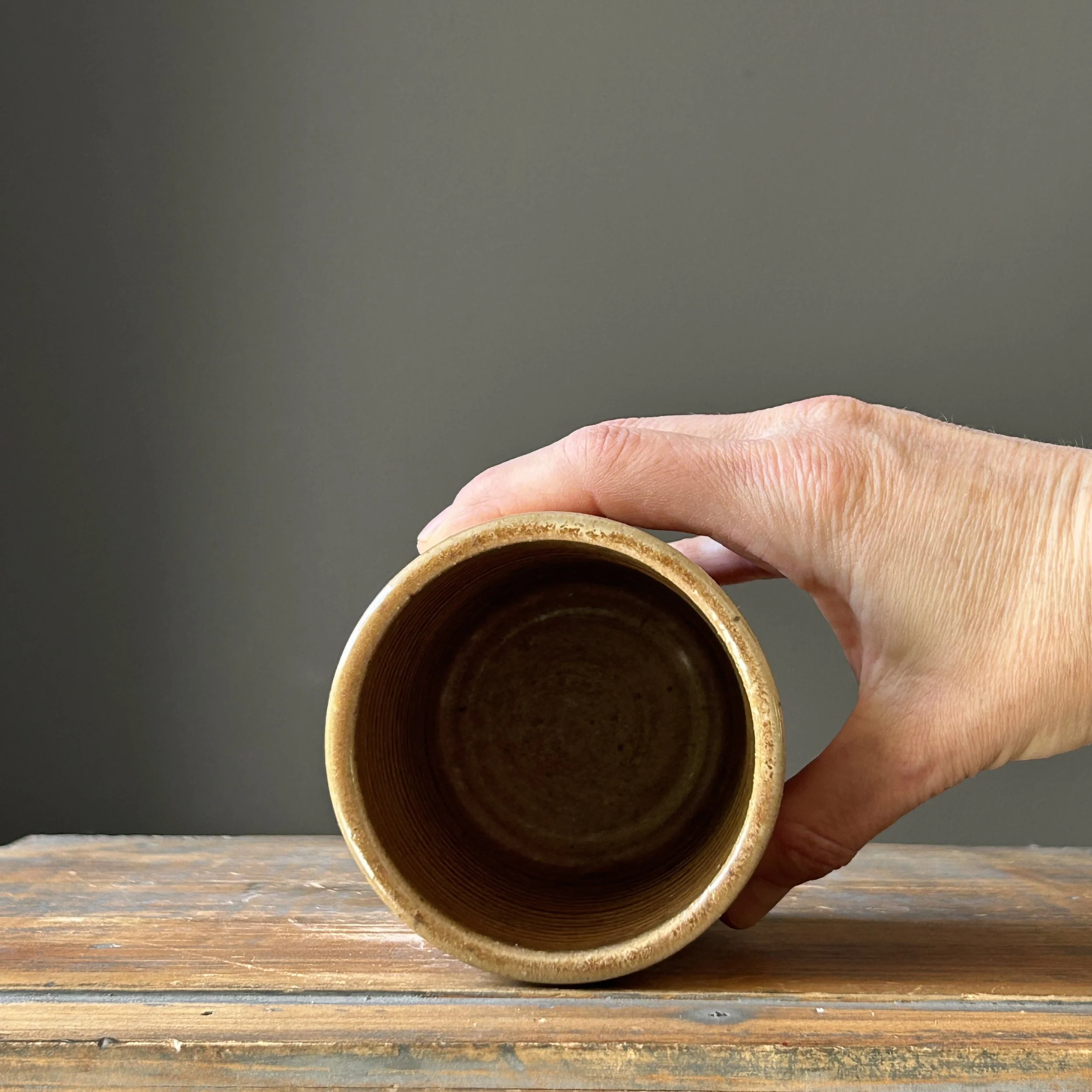 Photo Mar 28 2026, 1 58 45 PM.jpg