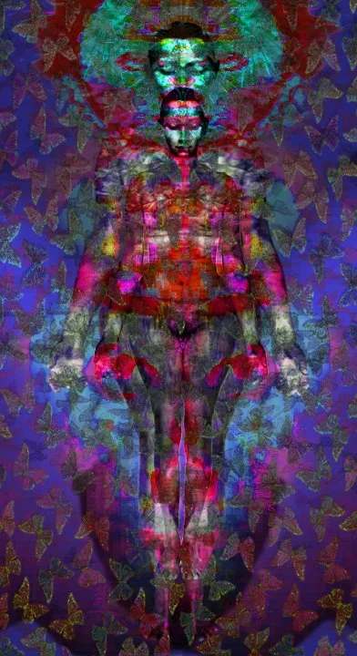 Virgin 1 | Butterfly