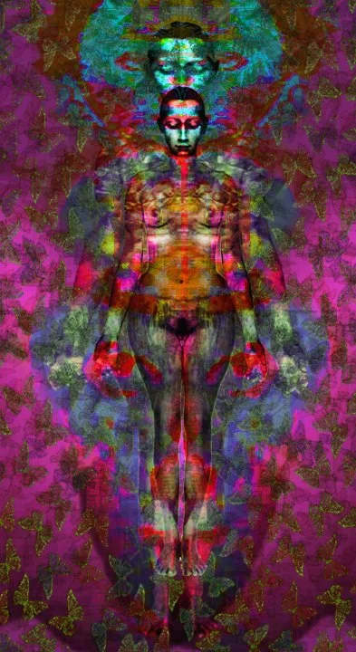 NUM_Web_AVirginButerfly2.jpg
