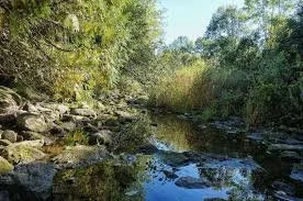 potters's creek.jpeg