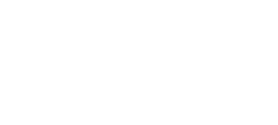 AudioControl-Logo wh web.png
