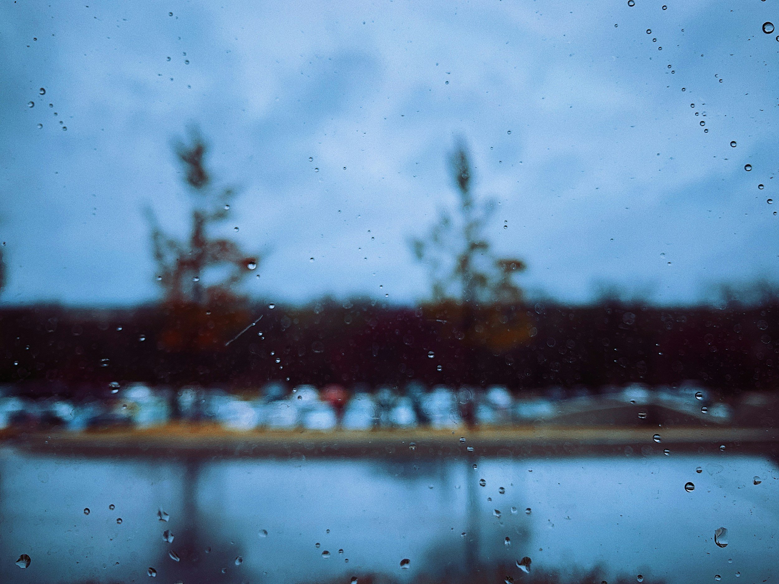 A rainy day scene viewed through a window with water droplets in focus. Beyond the glass, blurred trees and parked cars line a lot near a body of water, set under a gray, overcast sky.