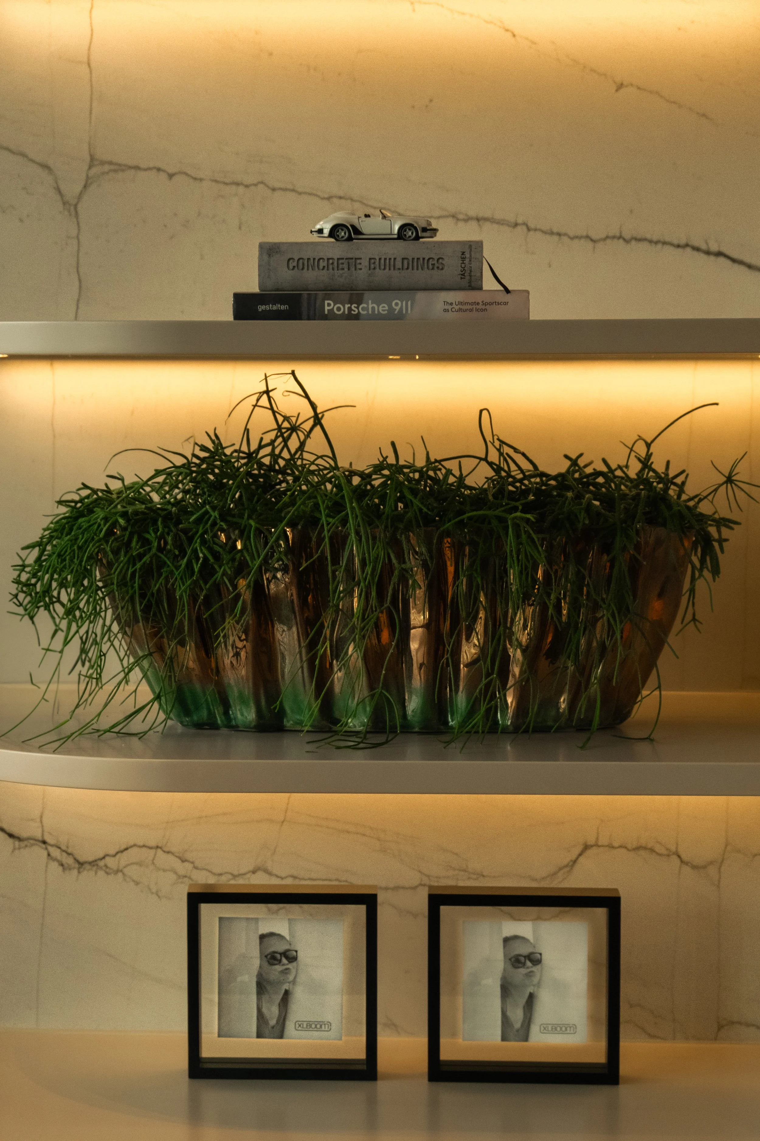 chicplants20401082025^SEQN^.jpg