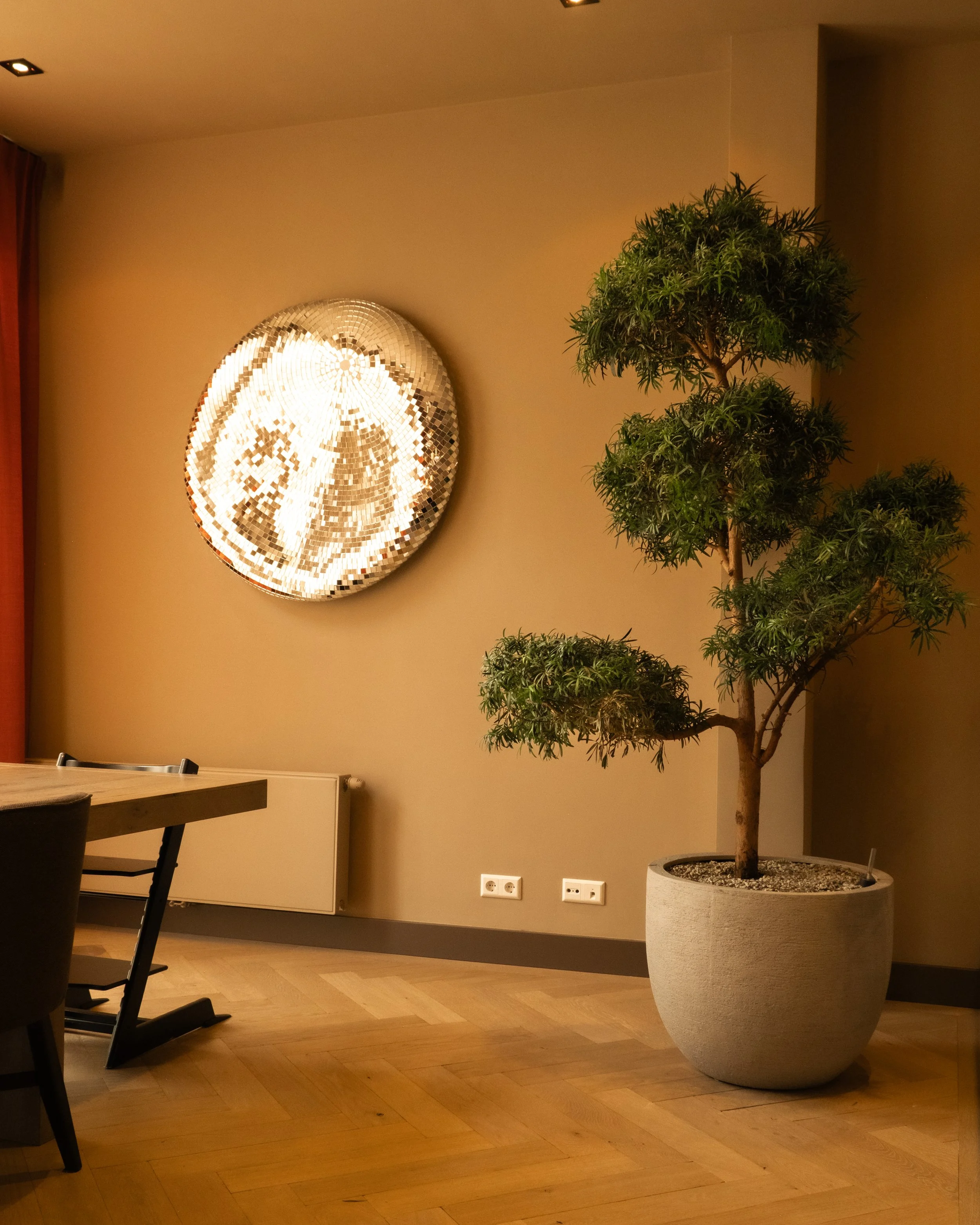 chicplants03601082025^SEQN^-2.jpg