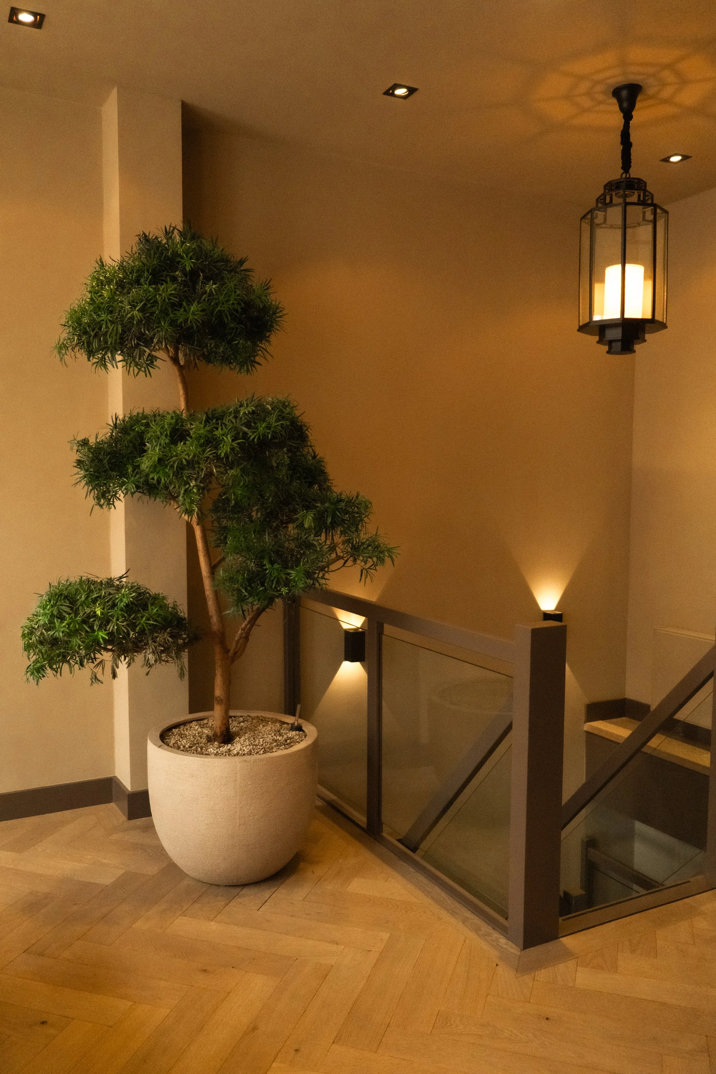 chicplants04601082025^SEQN^-2.jpg