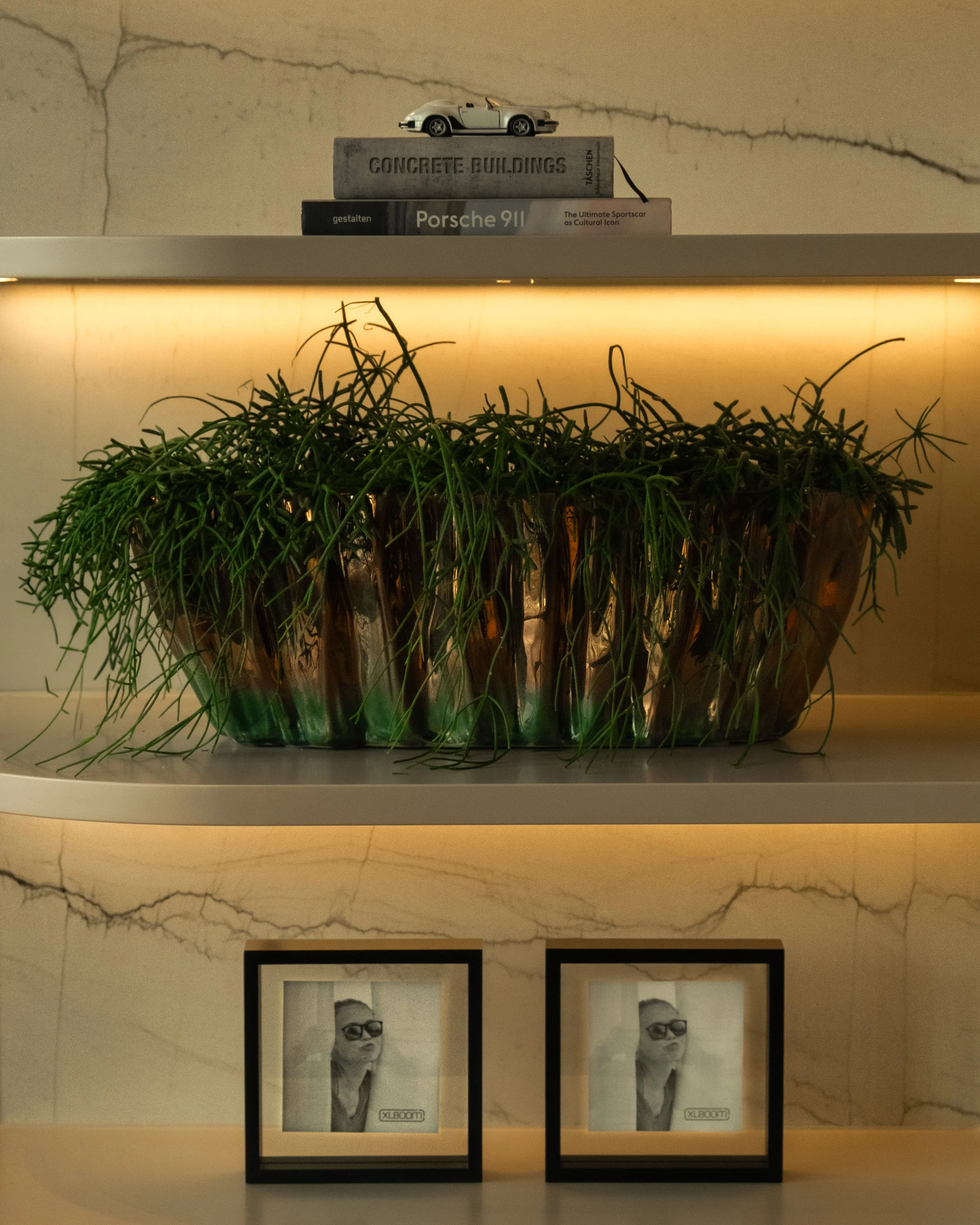 chicplants20401082025^SEQN^-2.jpg