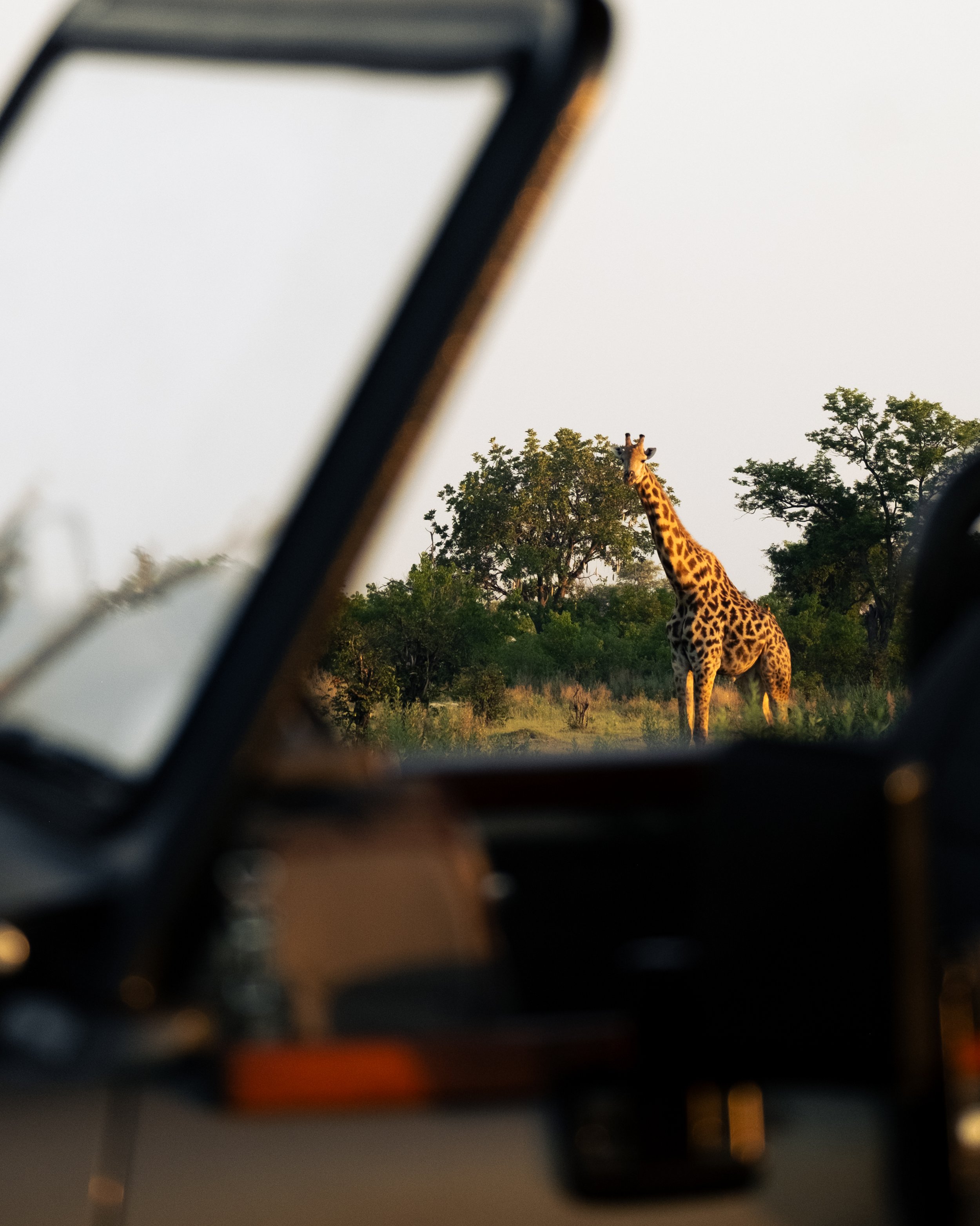 DSCF2051-2.jpg