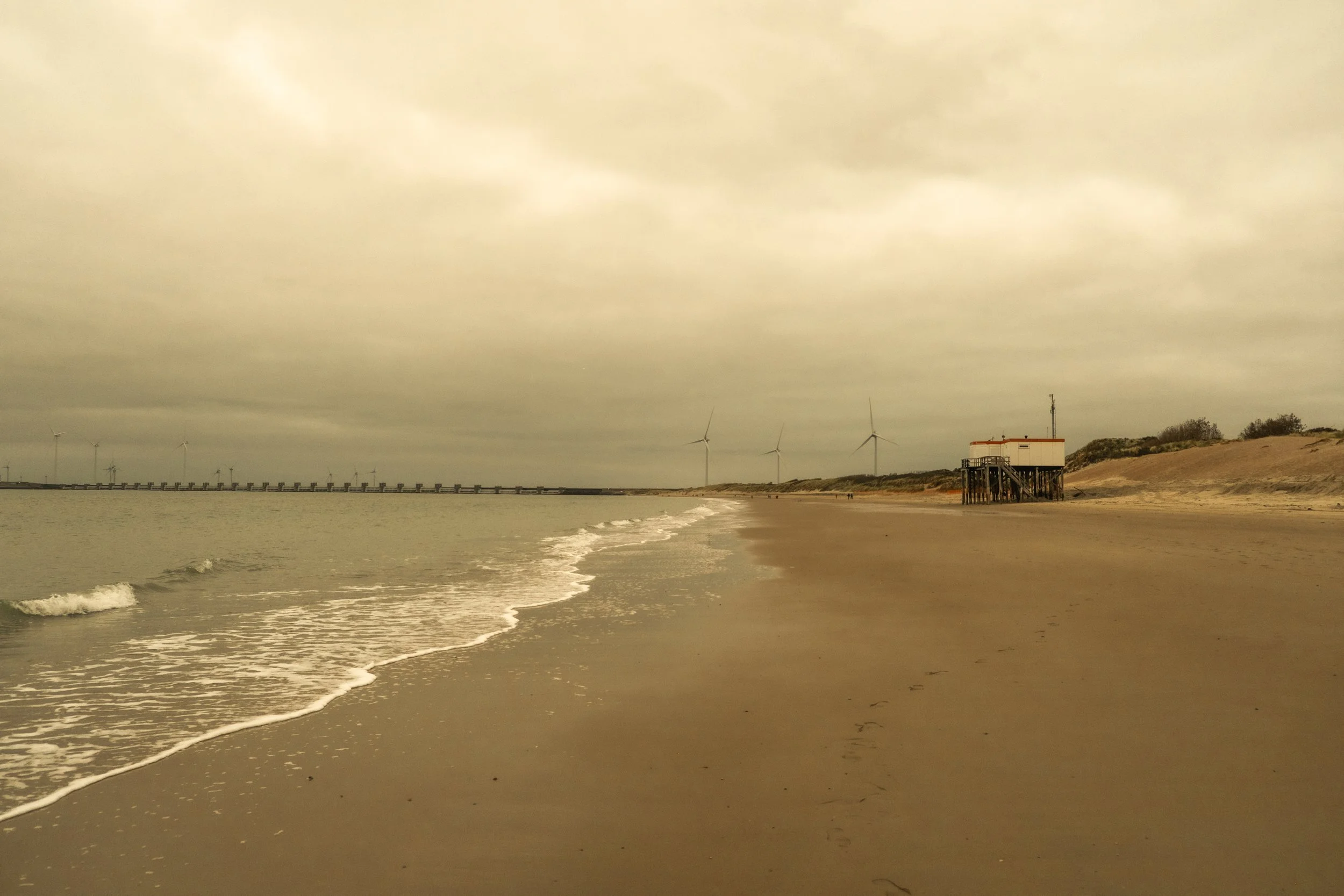 DSCF0167.jpg