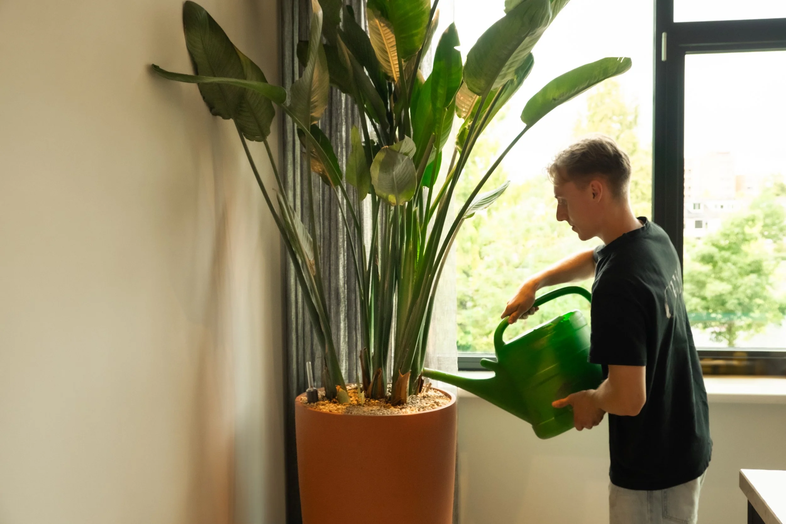 chicplants20701082025^SEQN^.jpg