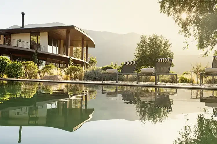 Clos Apalta - pool and residence.webp