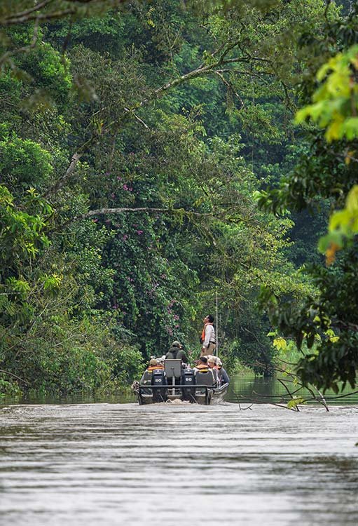 People riding a small boat through a dense, green jungle river.