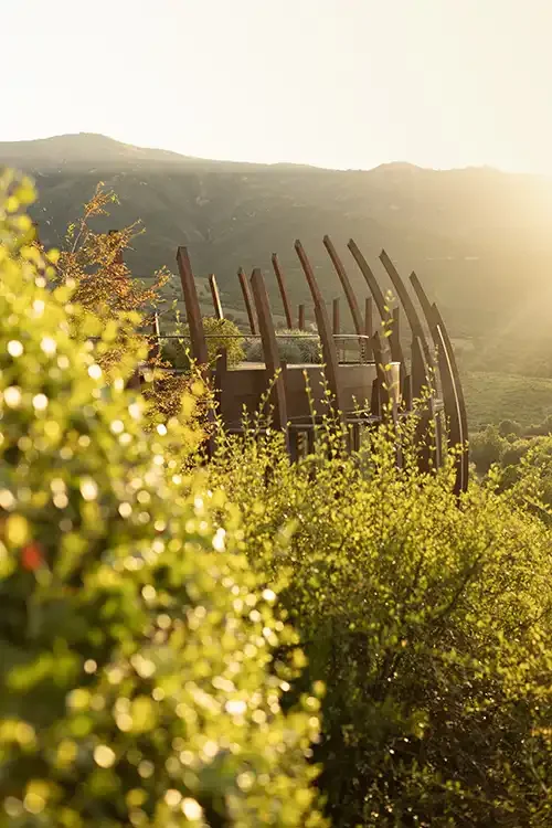 Clos Apalta - winery.webp