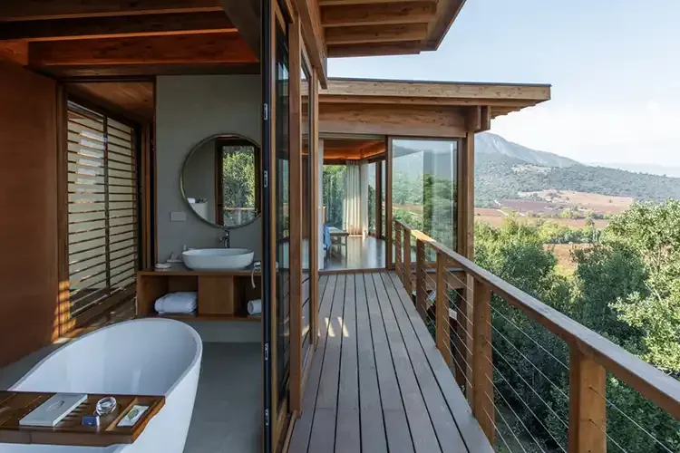 Clos Apalta villa - Daniela Mac Adden.webp