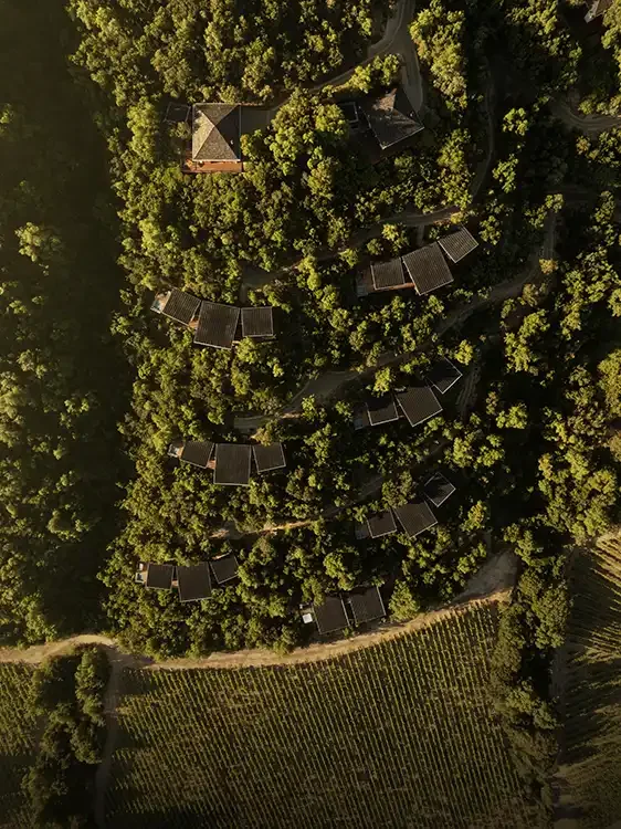 Clos Apalta - aerial.webp