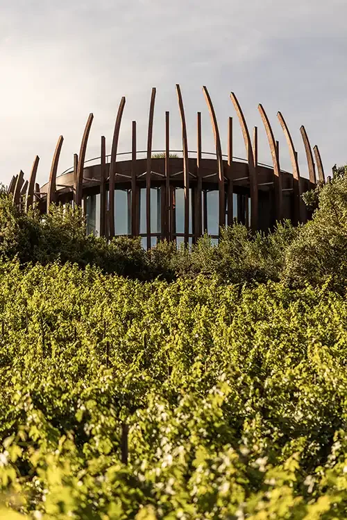 Clos Apalta - winery-vines.webp