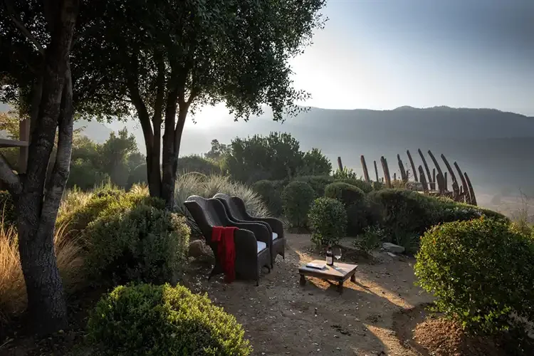 clos apalta vineyard - Daniela Mac Adden.webp