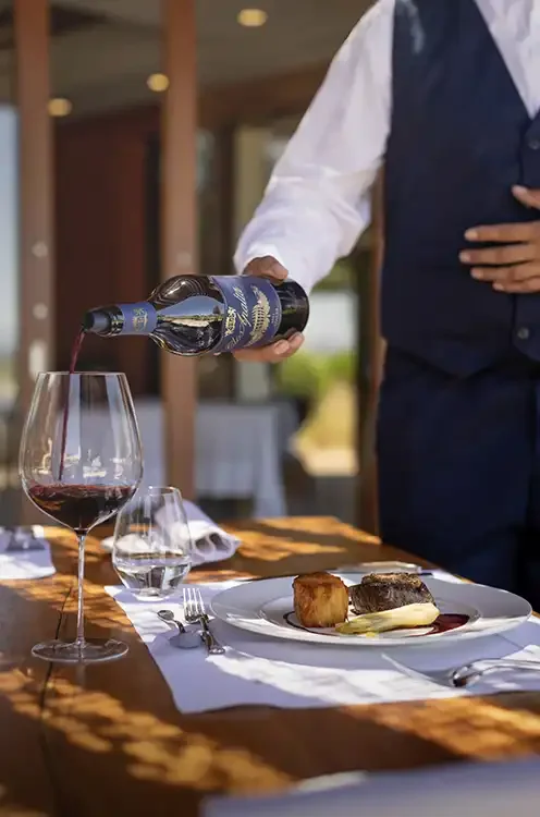 Clos Apalta - wine-bottle.webp