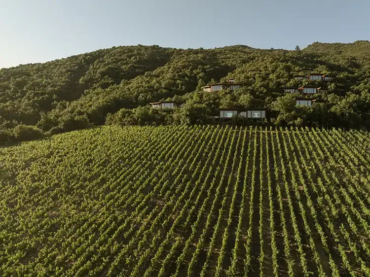 Clos Apalta - villas.webp