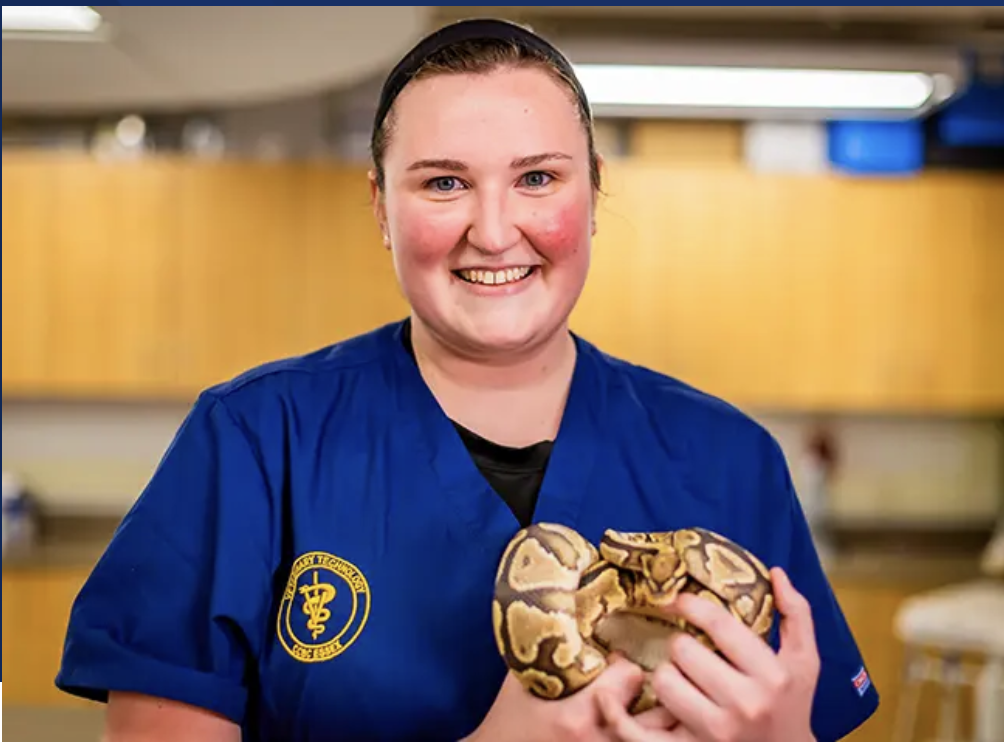 From Passion to Profession