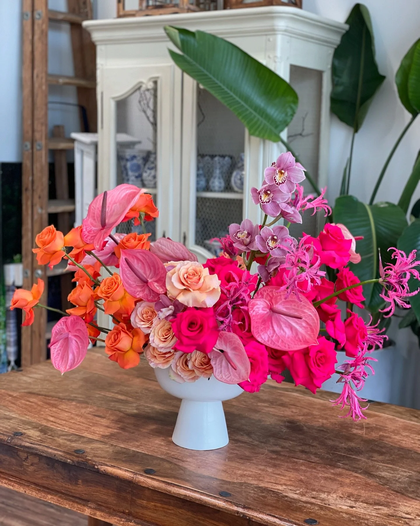 Summer Sun &amp; Spritz 🍹