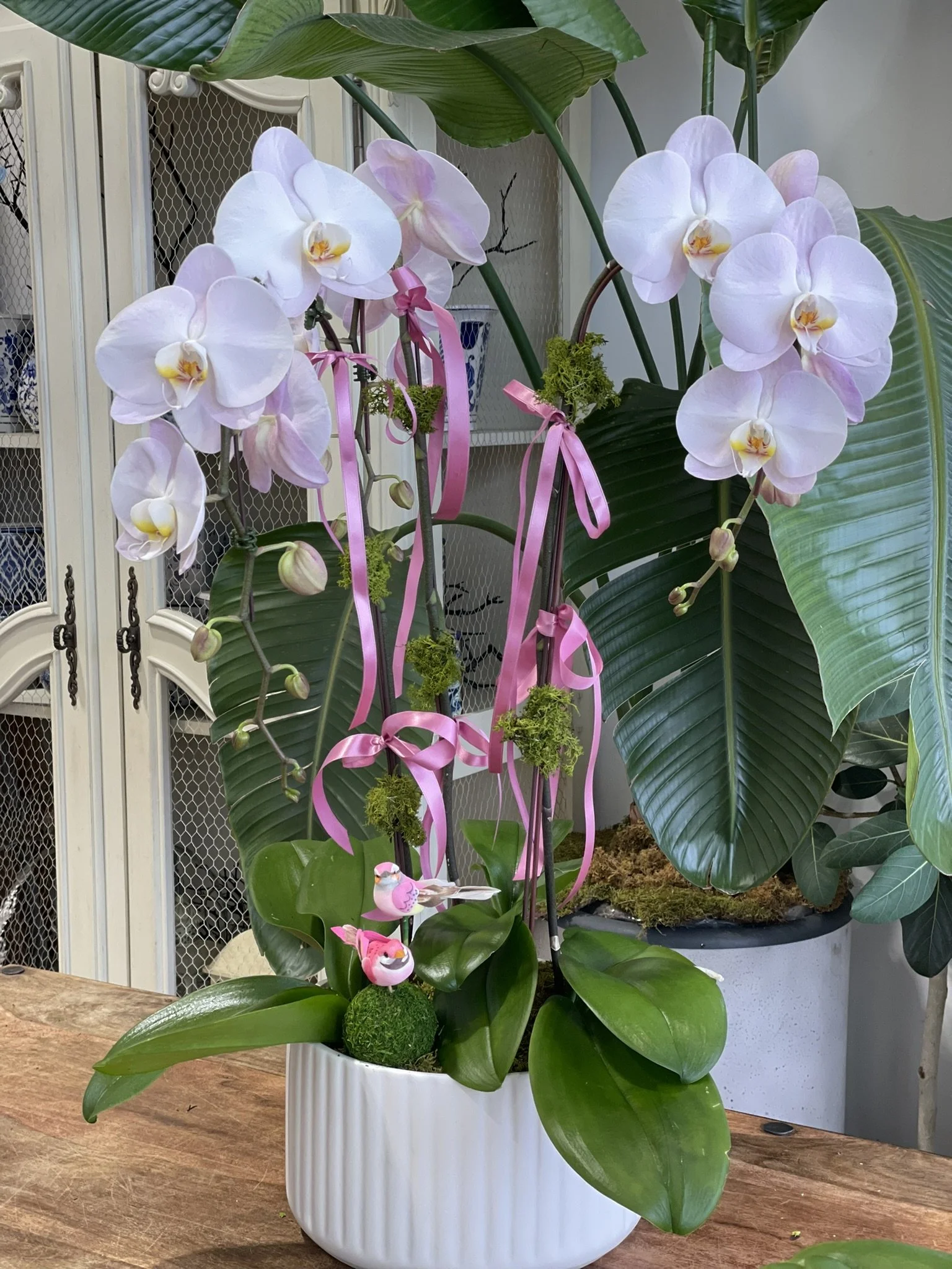 Luxe Cascading Orchids