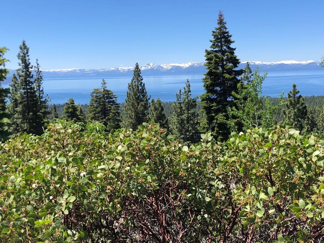 Spectacular summer day air quality in the Lake Tahoe Basin. No purposeful US Forest Service fire growth pollution today. The US Forest Service usually starts their purposeful heat and fire growth in the Sierras right after July 4th ignoring public he