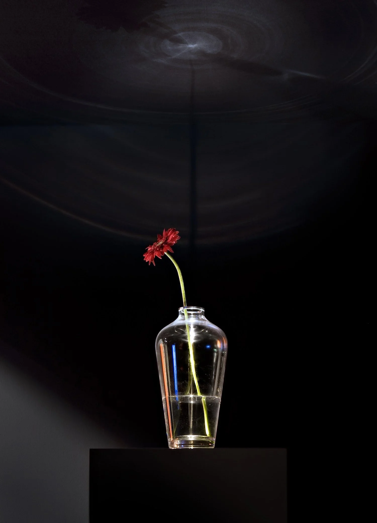 Life 01 — Paul Cocksedge Studio