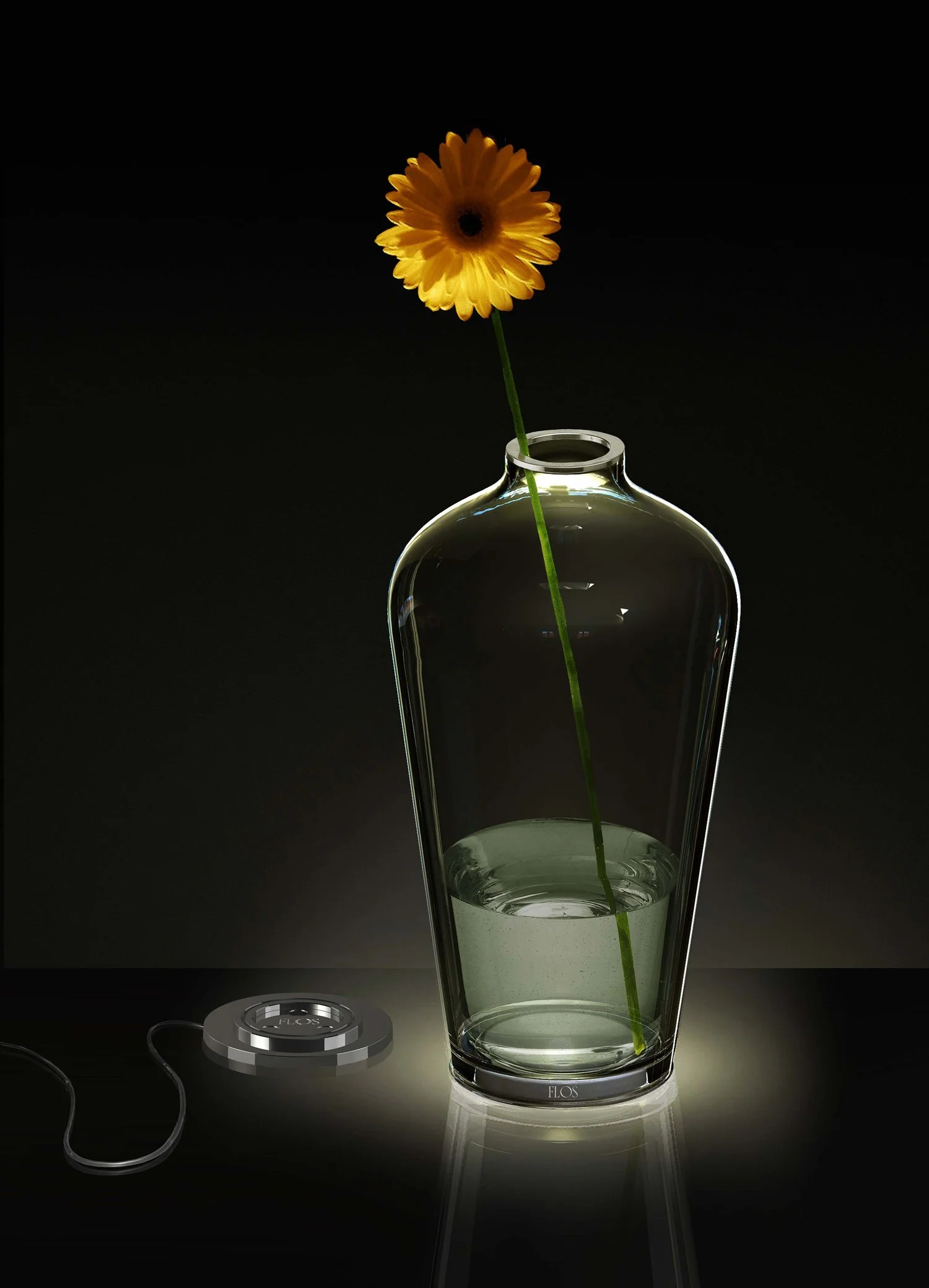 洋書 LIVING IMAGES by Polge (Signed) 洋書 LIVING IMAGES by Polge (Signed) 洋書 LIVING IMAGES by Polge