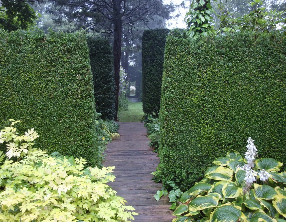 main-walk_4521488371_o.jpg
