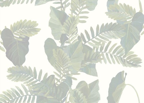 Foliage | Quiet Jungle