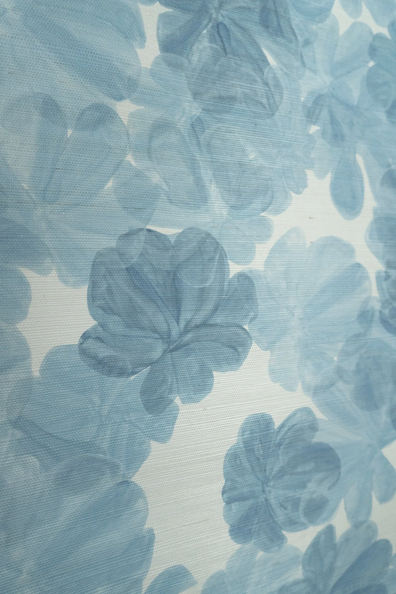 Selva | Canopy Marine