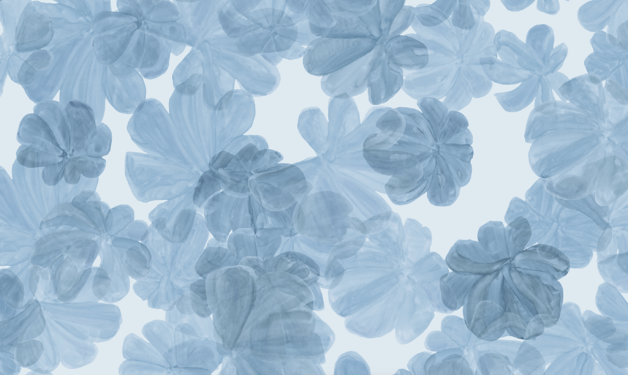 Canopy | Marine