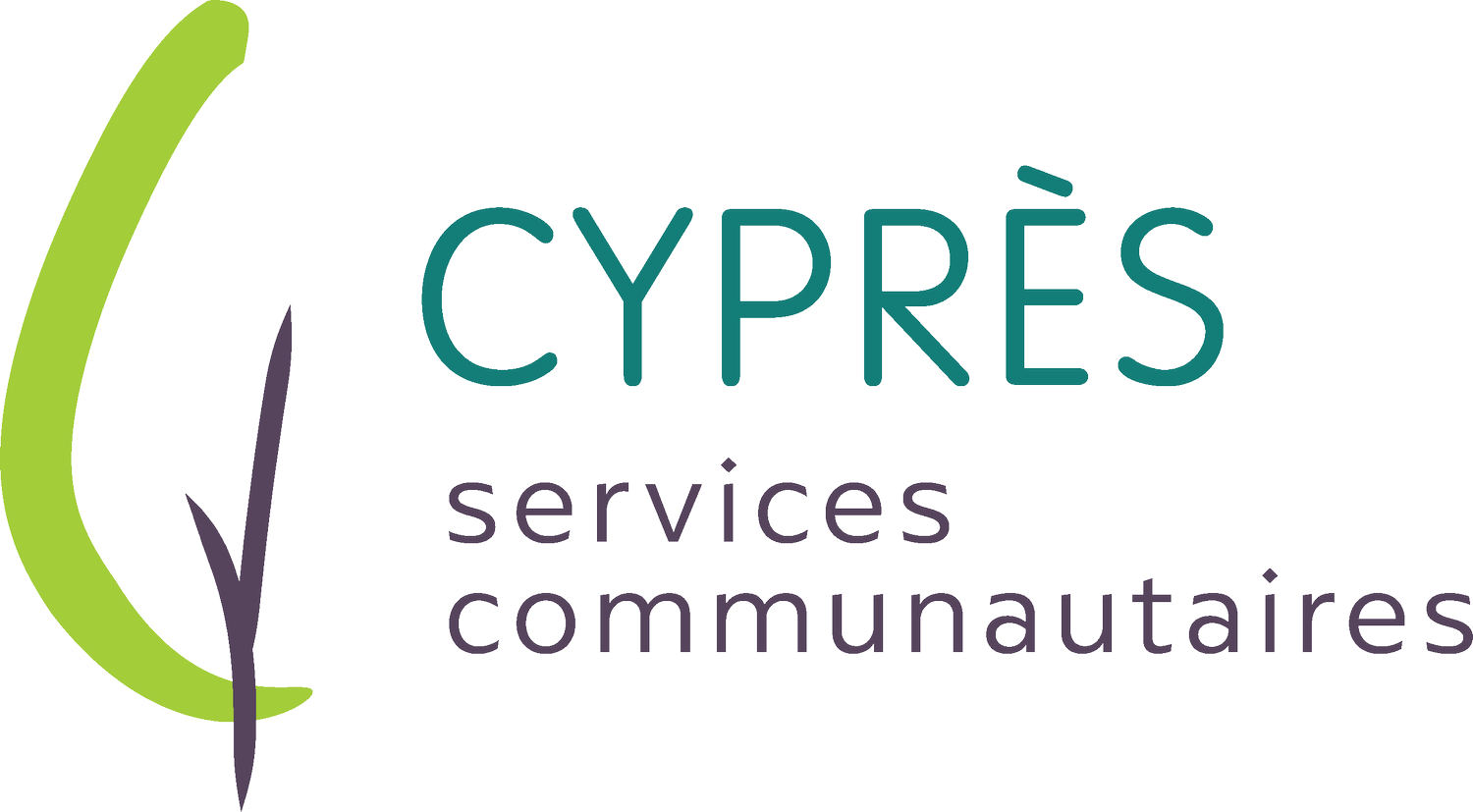 Cyprès