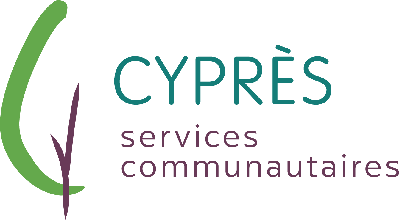 Cyprès