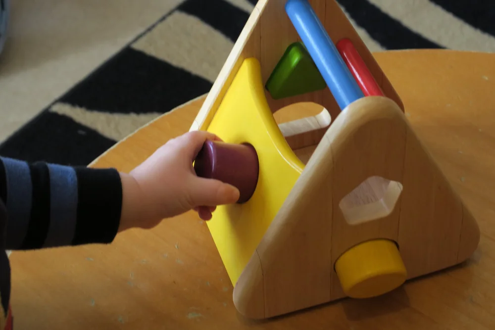 The Work — Little Flowers Montessori School