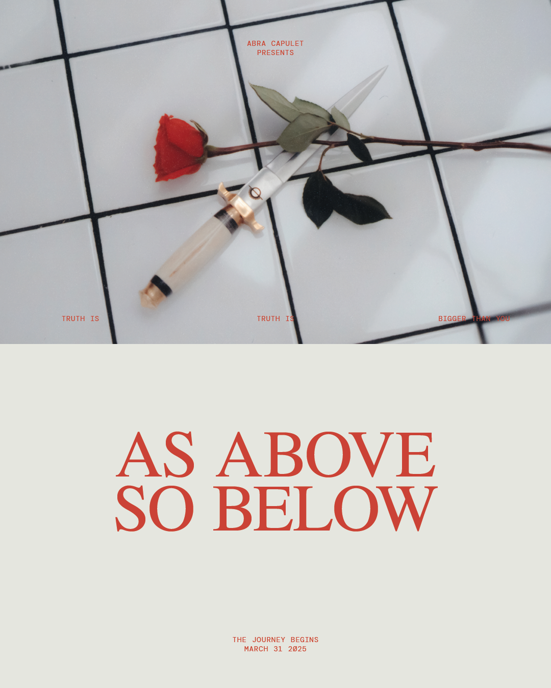 AASB IG IMAGE5.png