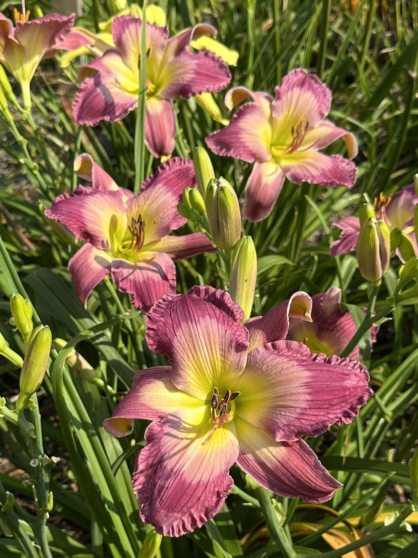 Panties In The Wind5.jpeg