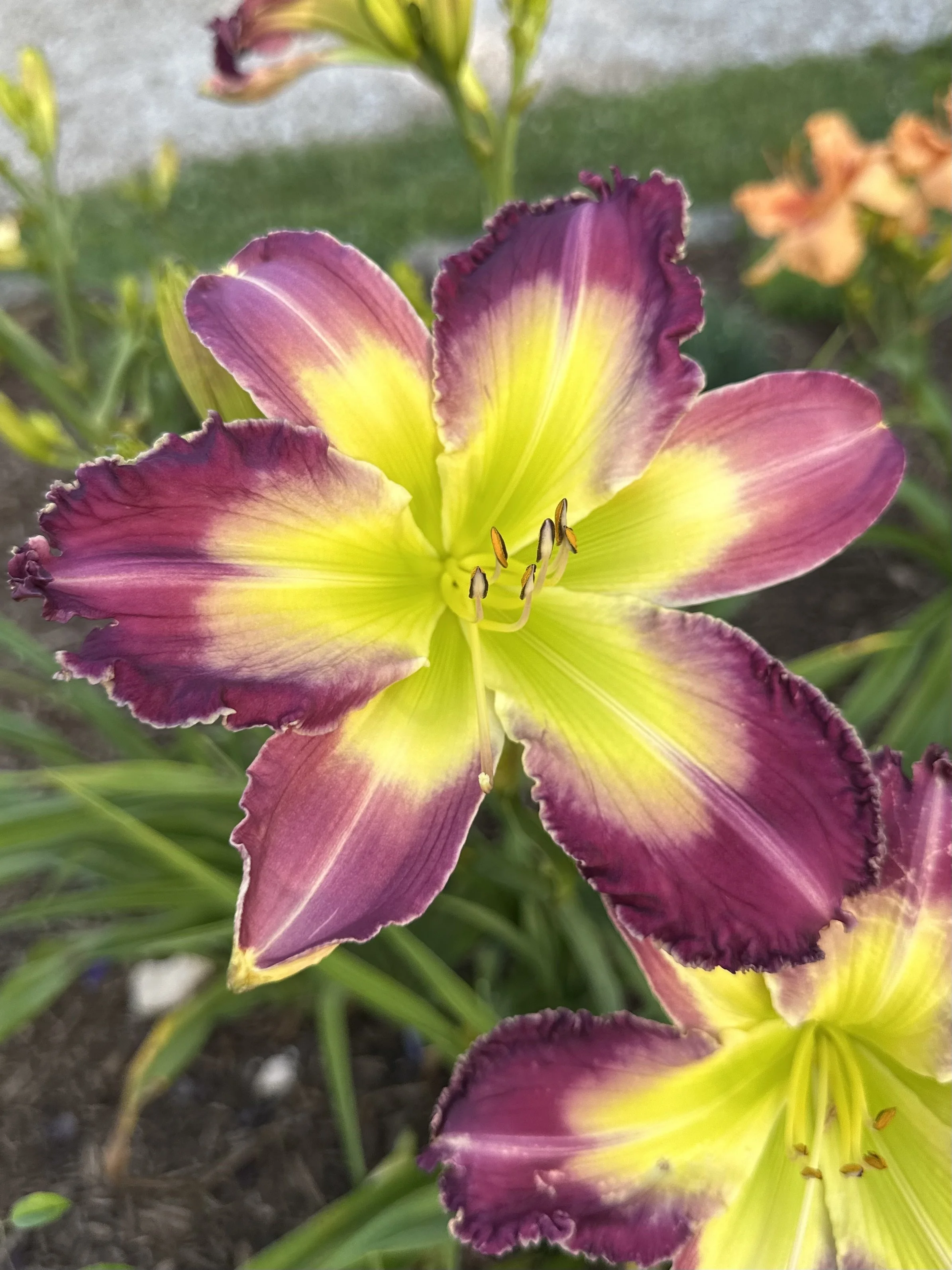 Warrior Goddess3.jpg