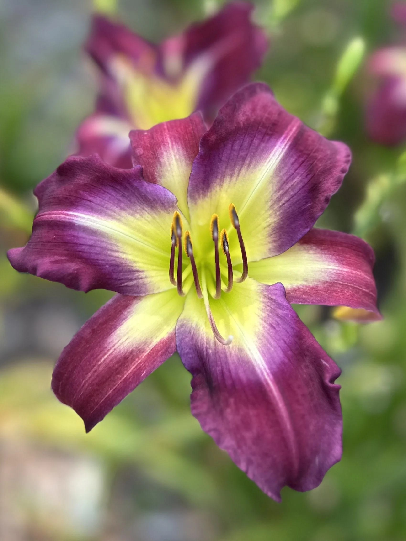 A Pinch Of Magic5.jpeg