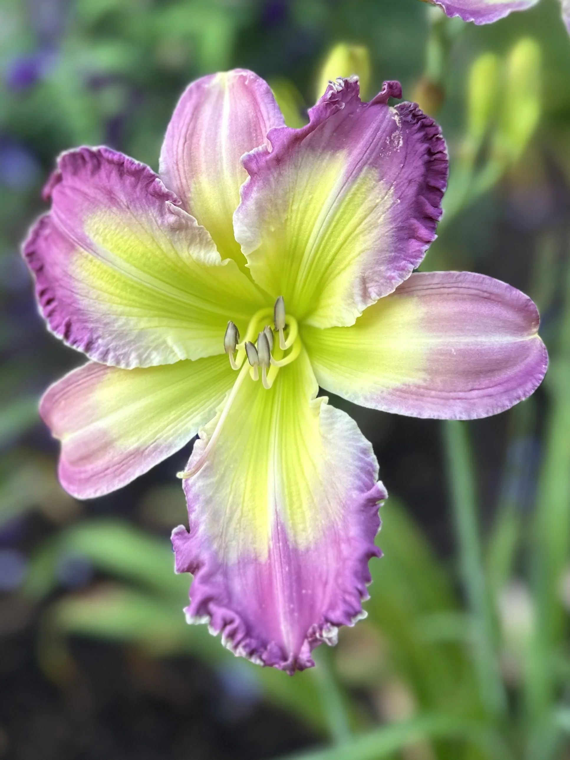 Warrior goddess5.jpg