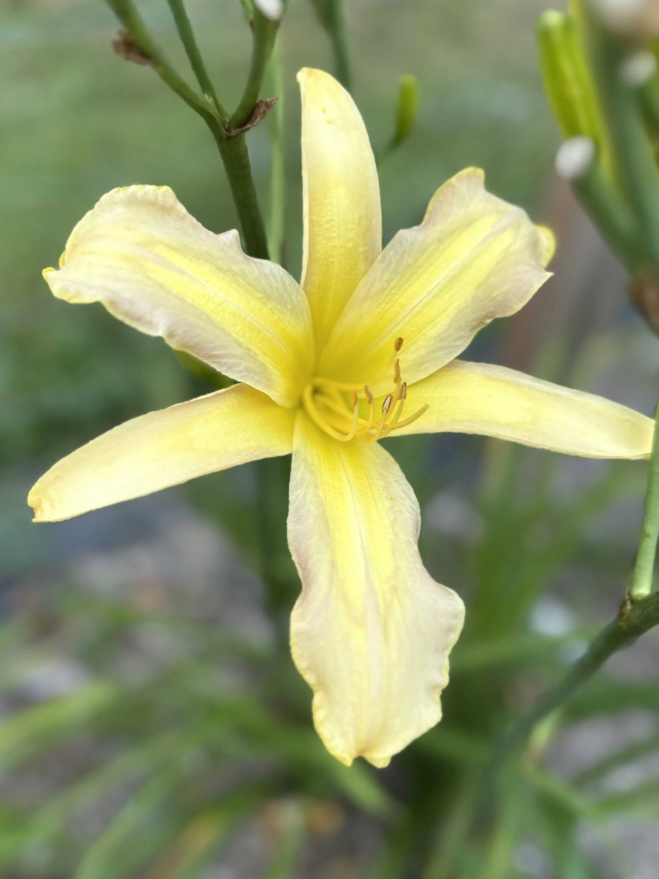 Alien Discovery3.jpg