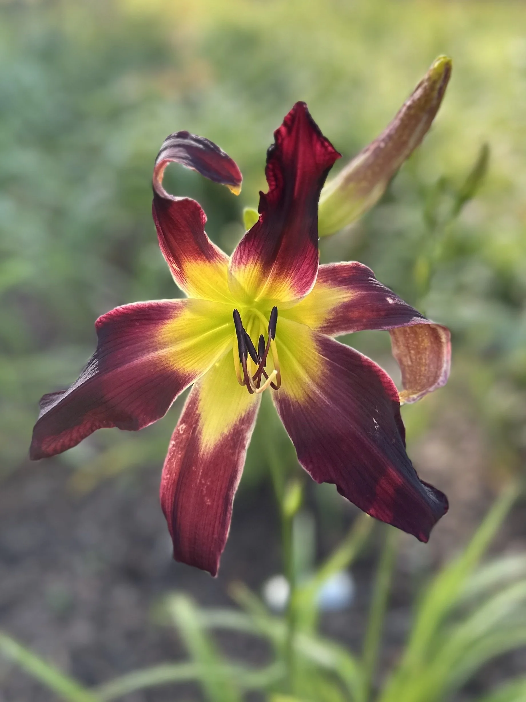 Windyhill's Hidden Secrets.jpg