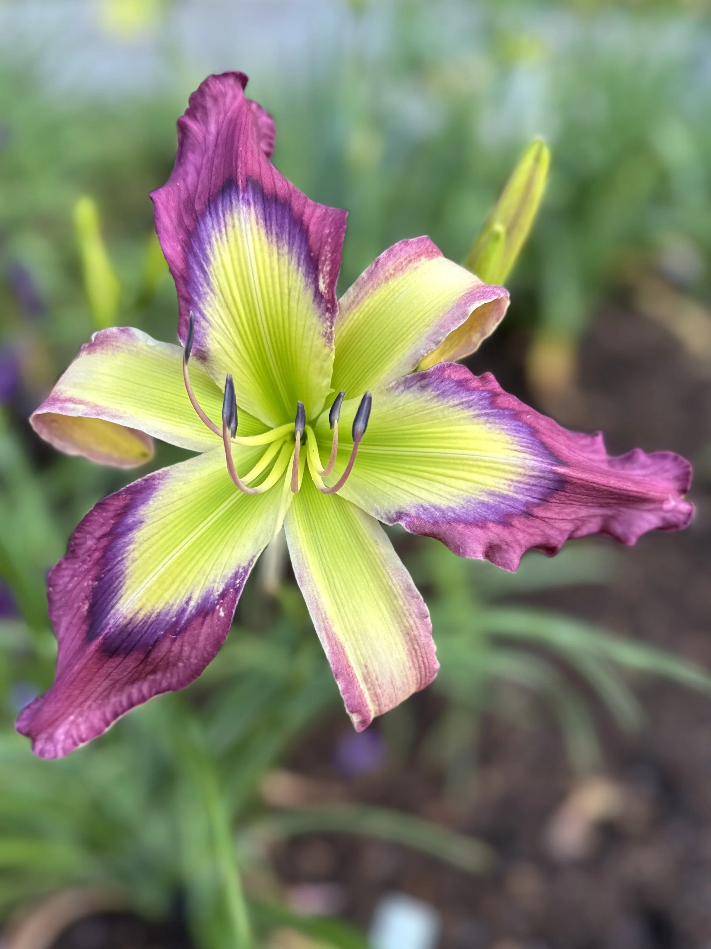 Handle With Prayer1.jpg