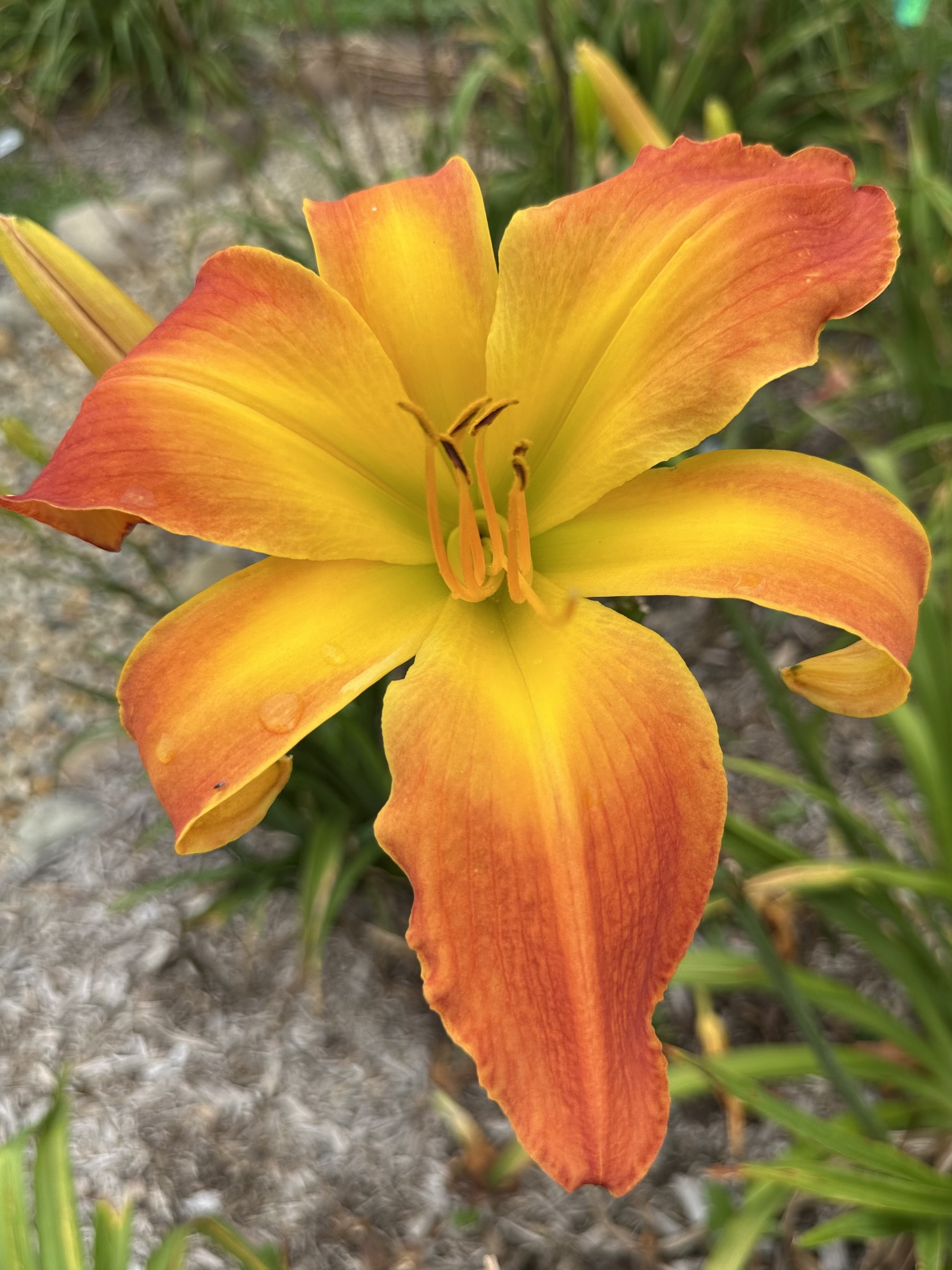 Sunny Intervals2.jpeg