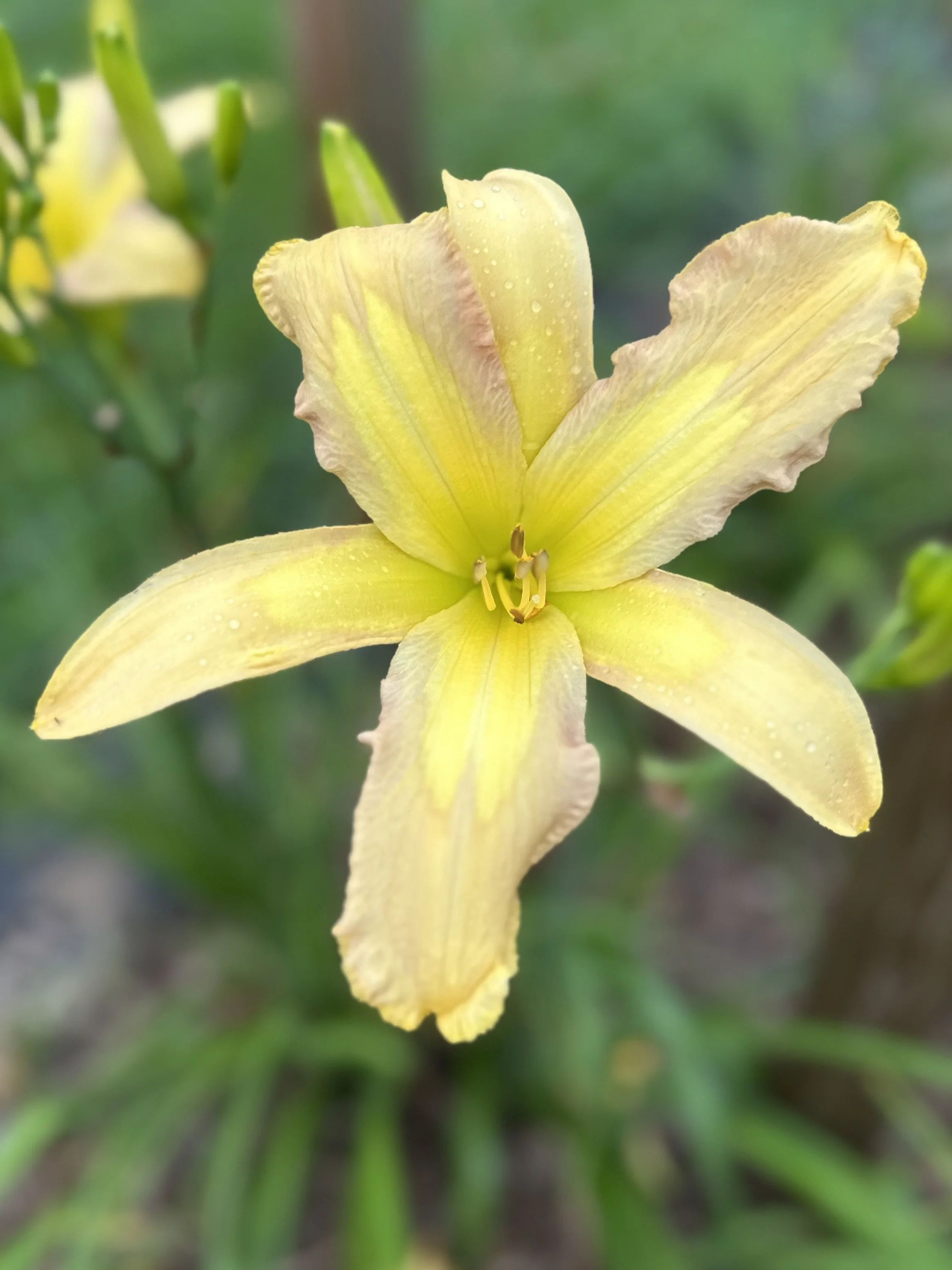 Alien Discovery2.jpg