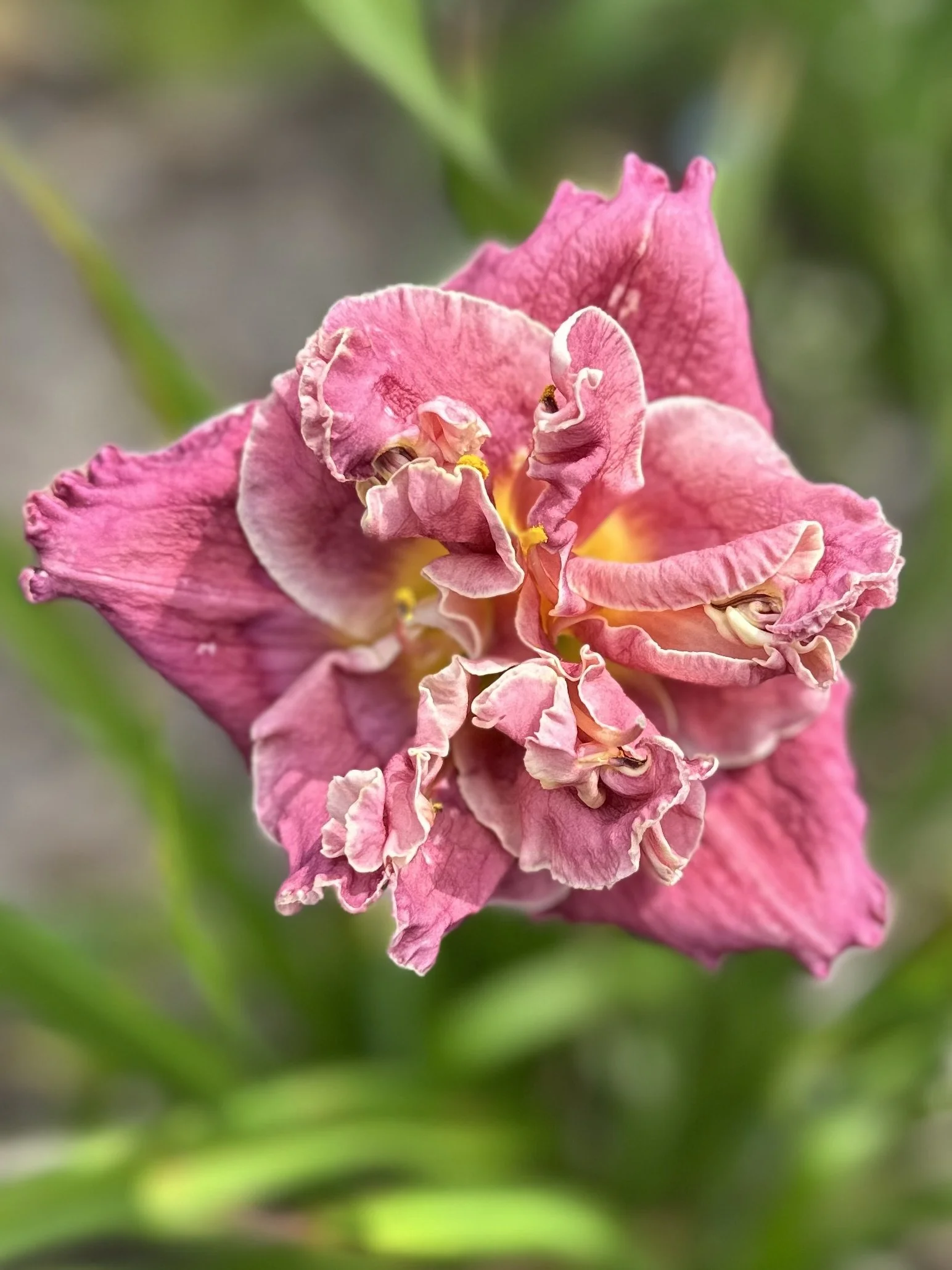 Date With Destiny4.jpeg