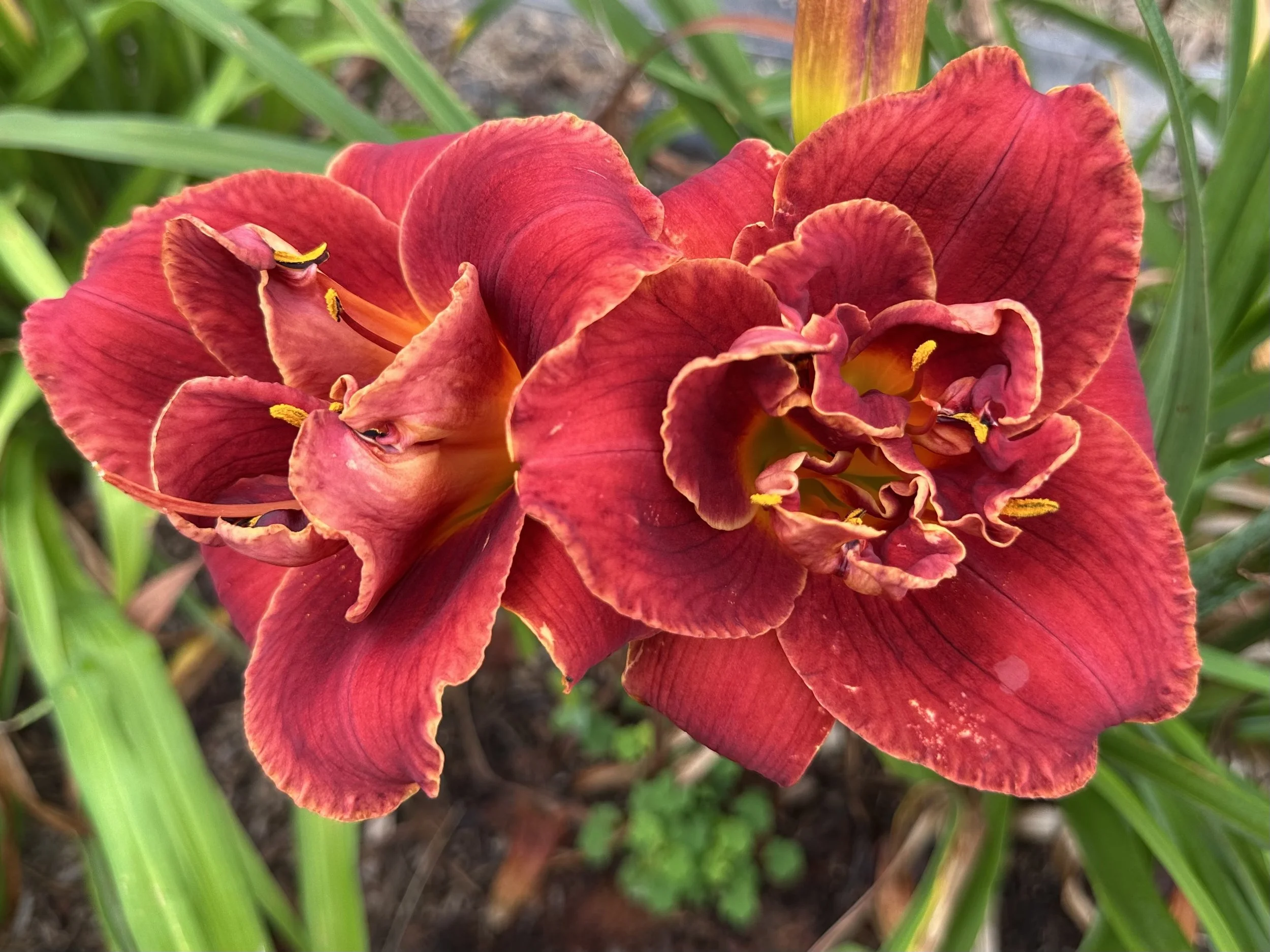 Layers Of Love1.jpeg