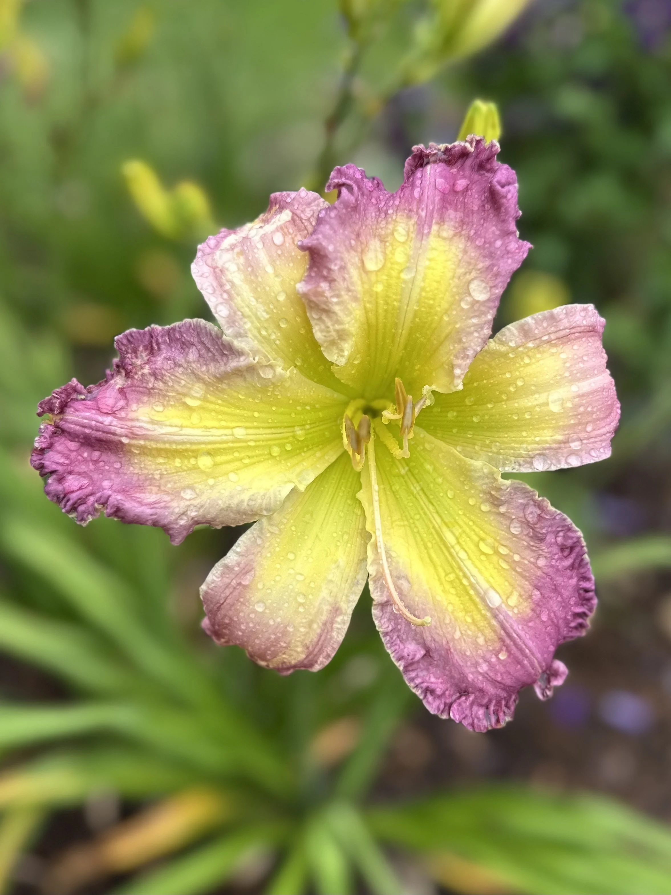 Warrior Goddess4.jpg