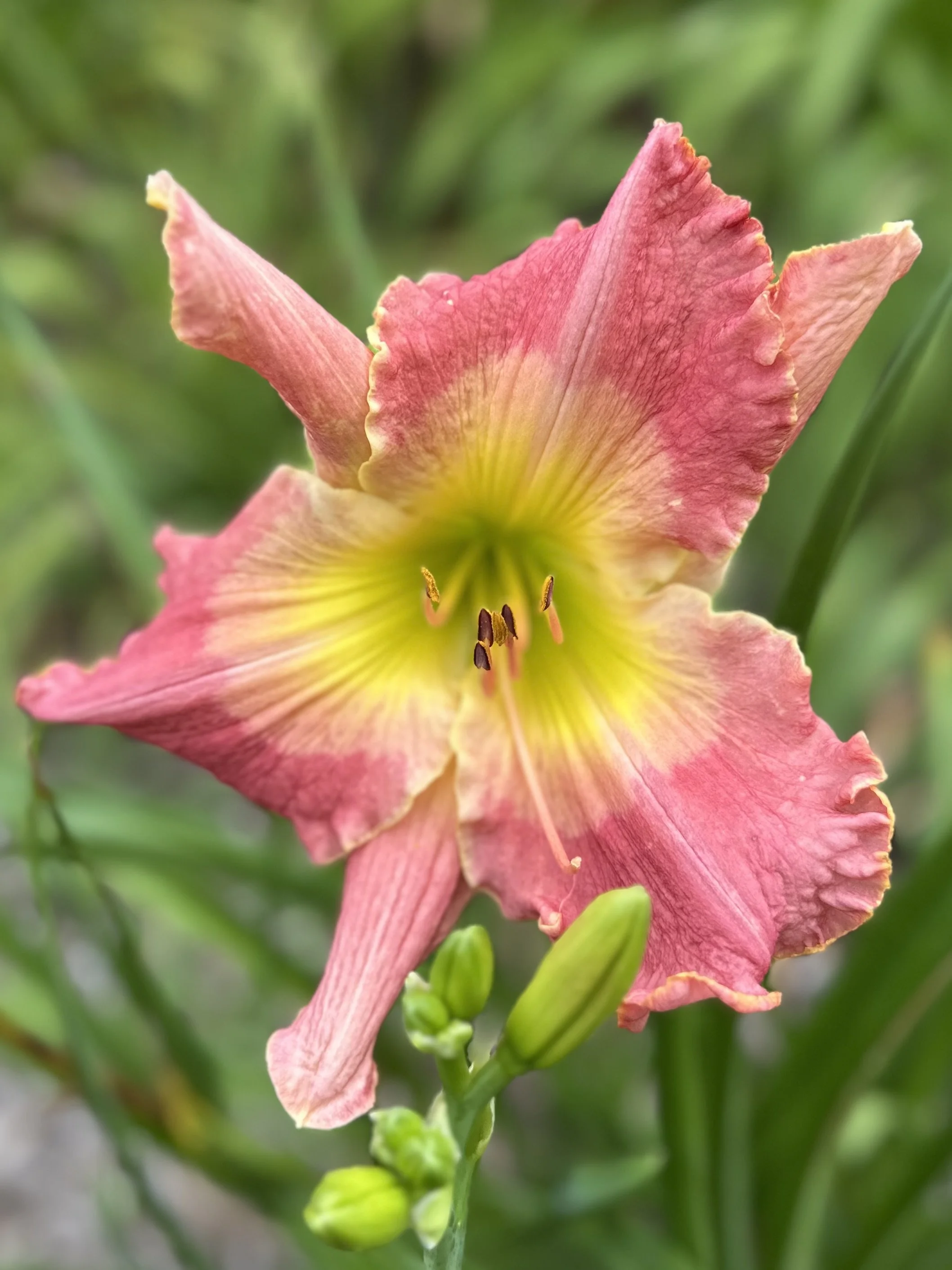 My Friend Jacob1.jpg